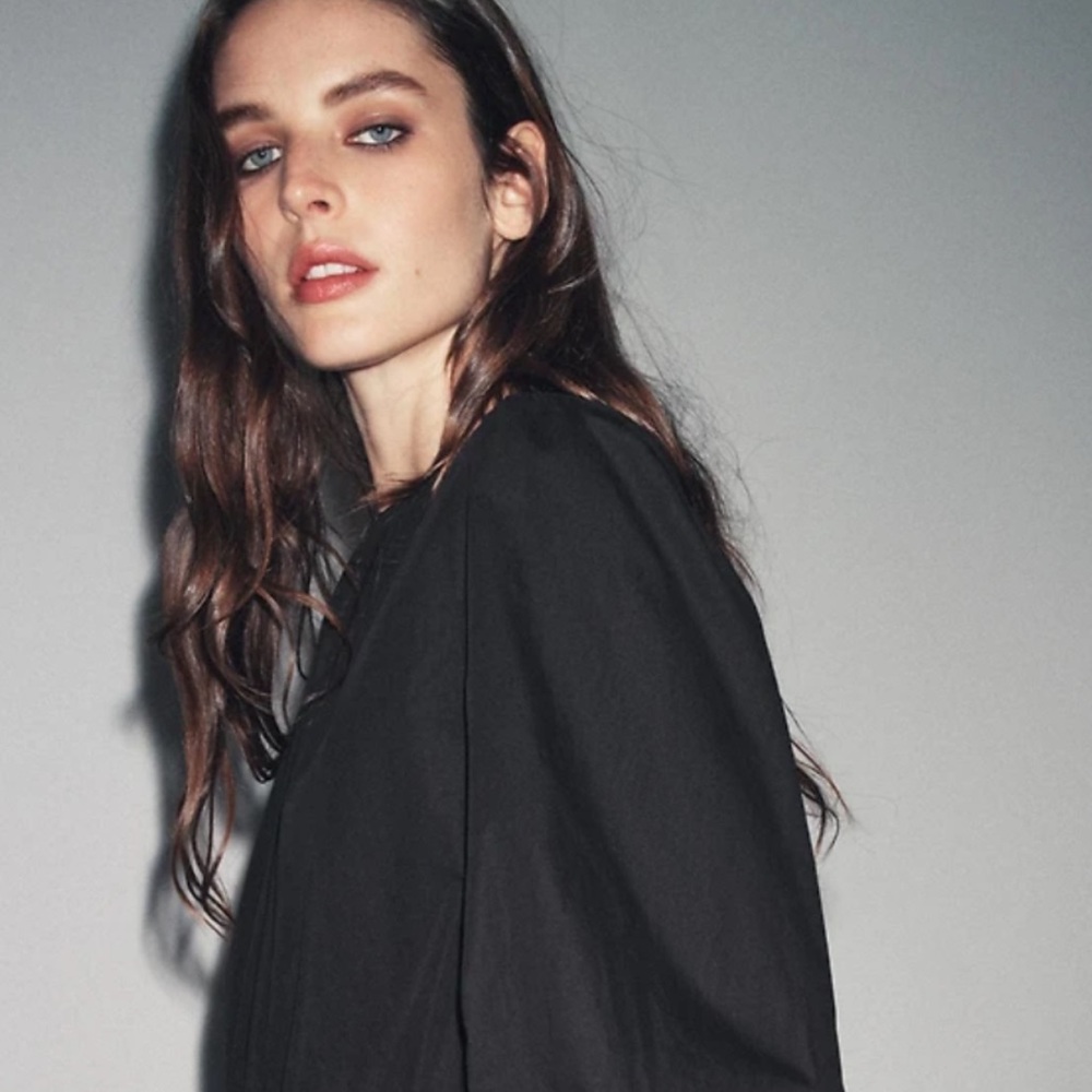 Zara ZW COLLECTION RUCHED POPLIN DRESS |
Rosemère